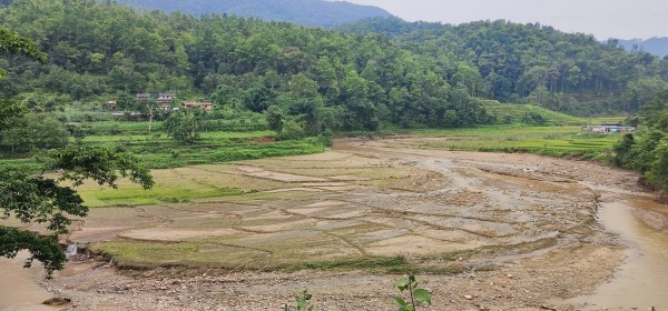 वार्षिक २५ लाख मेट्रिक टन माटो बाढीसँगै बग्छ 